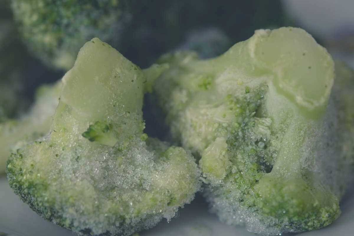 A close up picture of two pieces of frozen broccoli