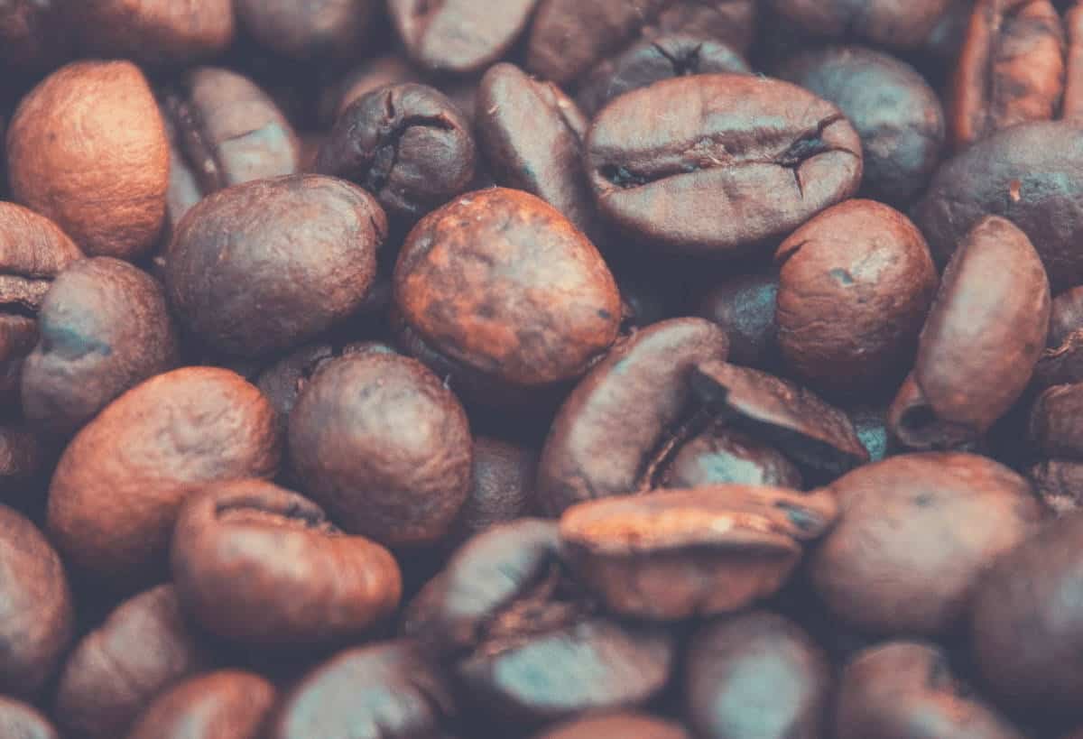 A close up shot of whole coffee beans