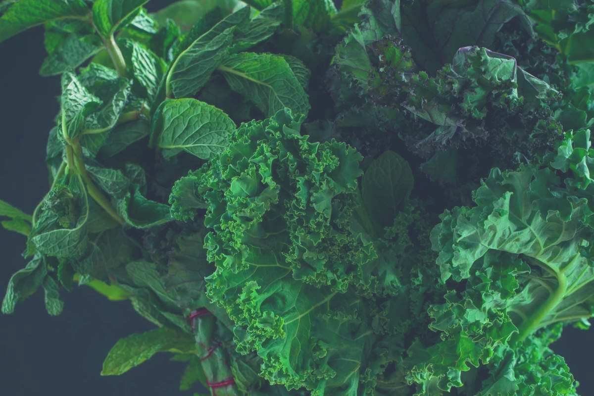 A close up shot of a pile of leafy greens
