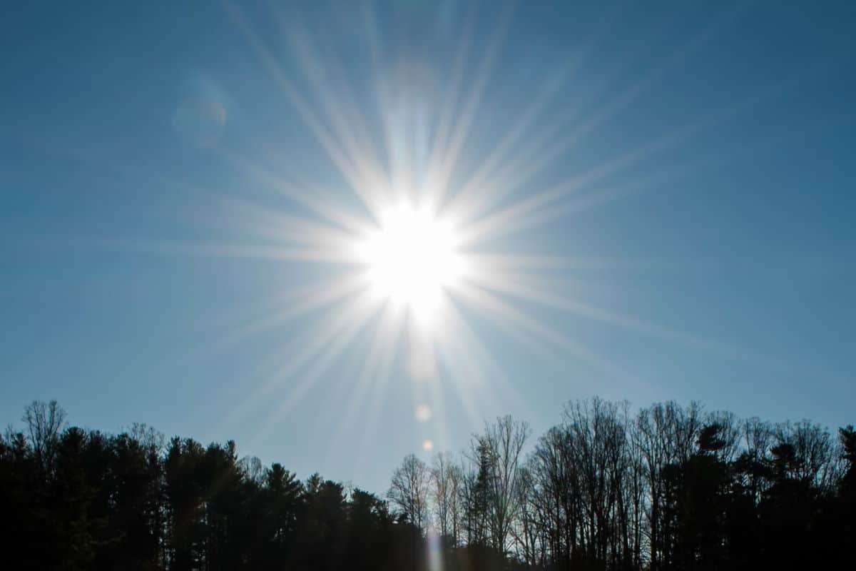 A picture of a very bright sun above some trees, set against a blue sky.